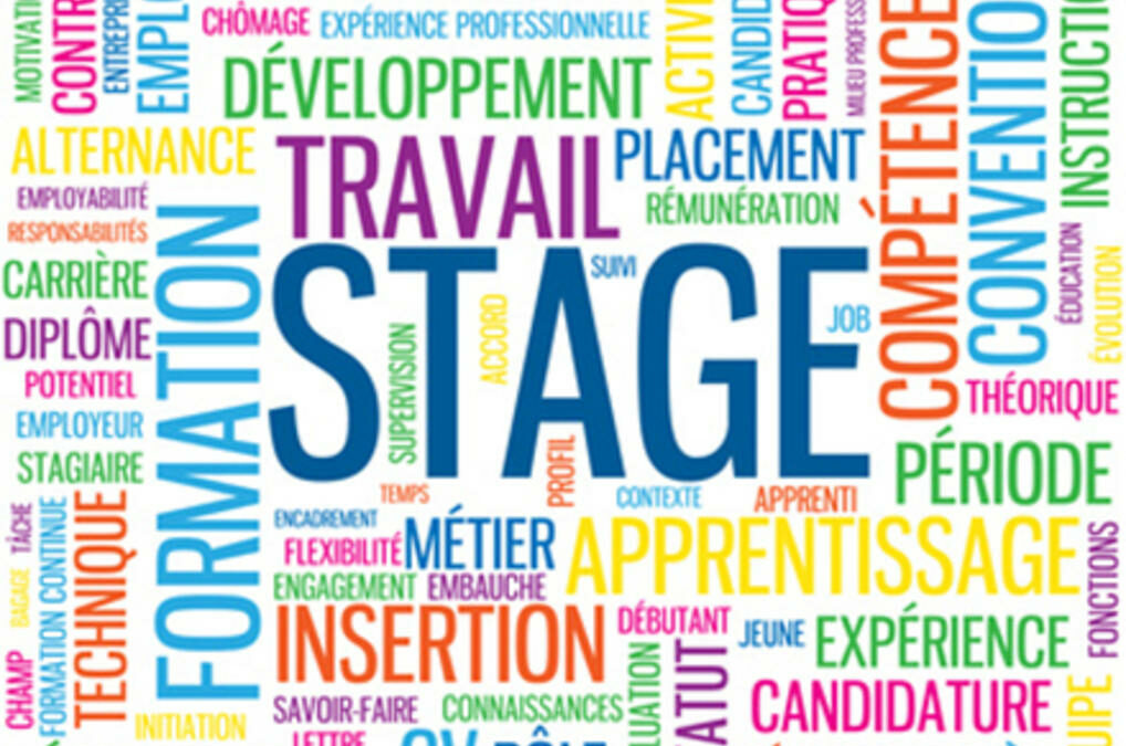 Emploi – Stage