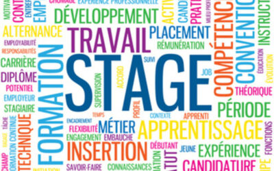 Emploi – Stage