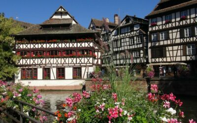 Why Strasbourg?